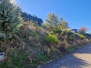 Vistas